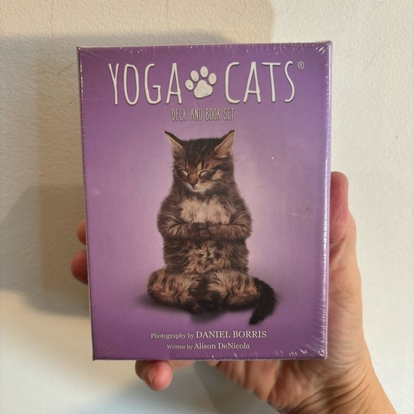 YOGA CATS Cards Written by Alison De Nicola Photography Daniel Borris NEW IN BOX - Picture 1 of 8